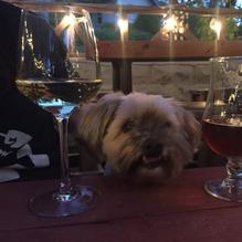 Fair Oaks Brew Pub restaurant view 1