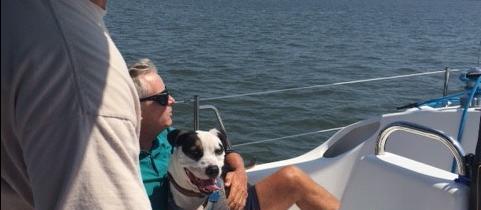 Dog Friendly Gloucester Point, VA