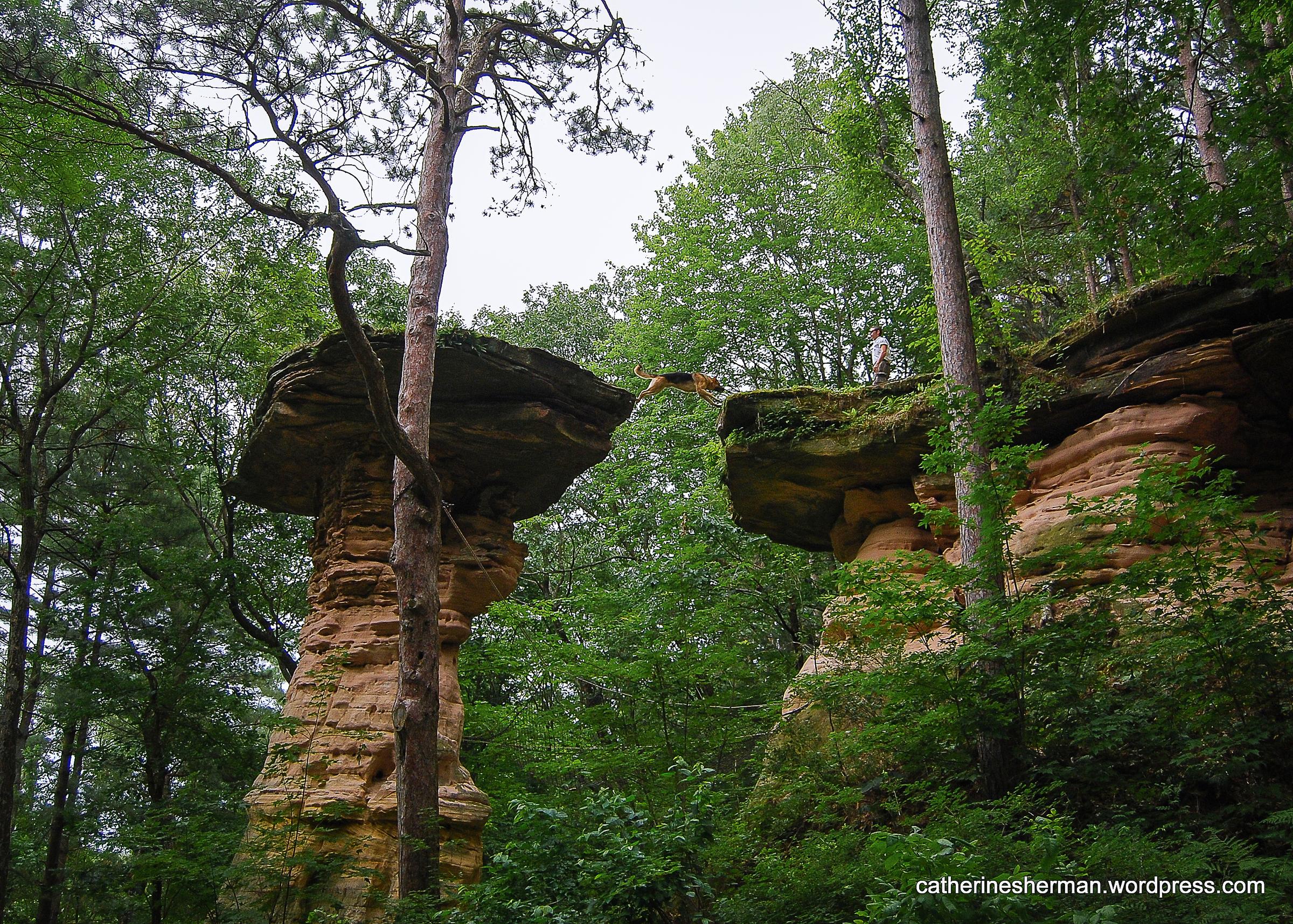 Dog Friendly Wisconsin Dells Wi Bring Fido