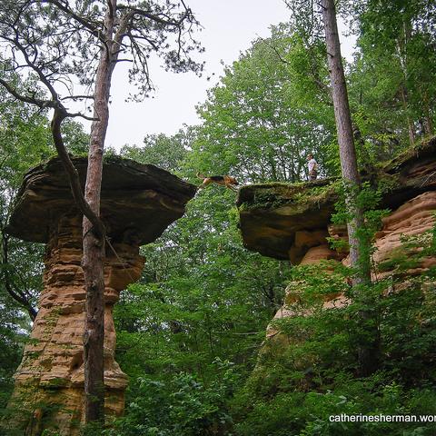 Dog Friendly Wisconsin Dells Wi Bring Fido