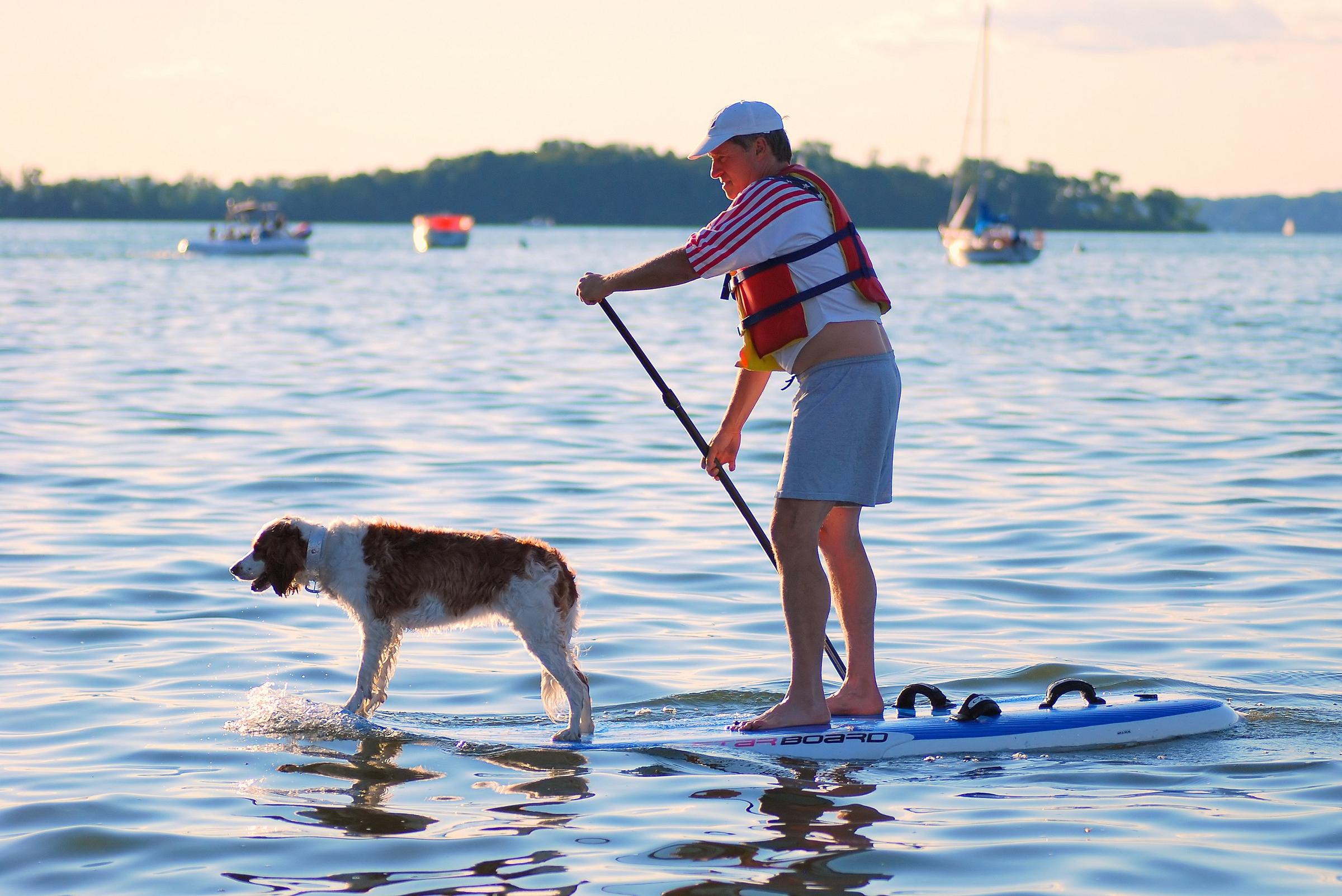 Man and Dog on a Paddle Board ⋆ BringFido