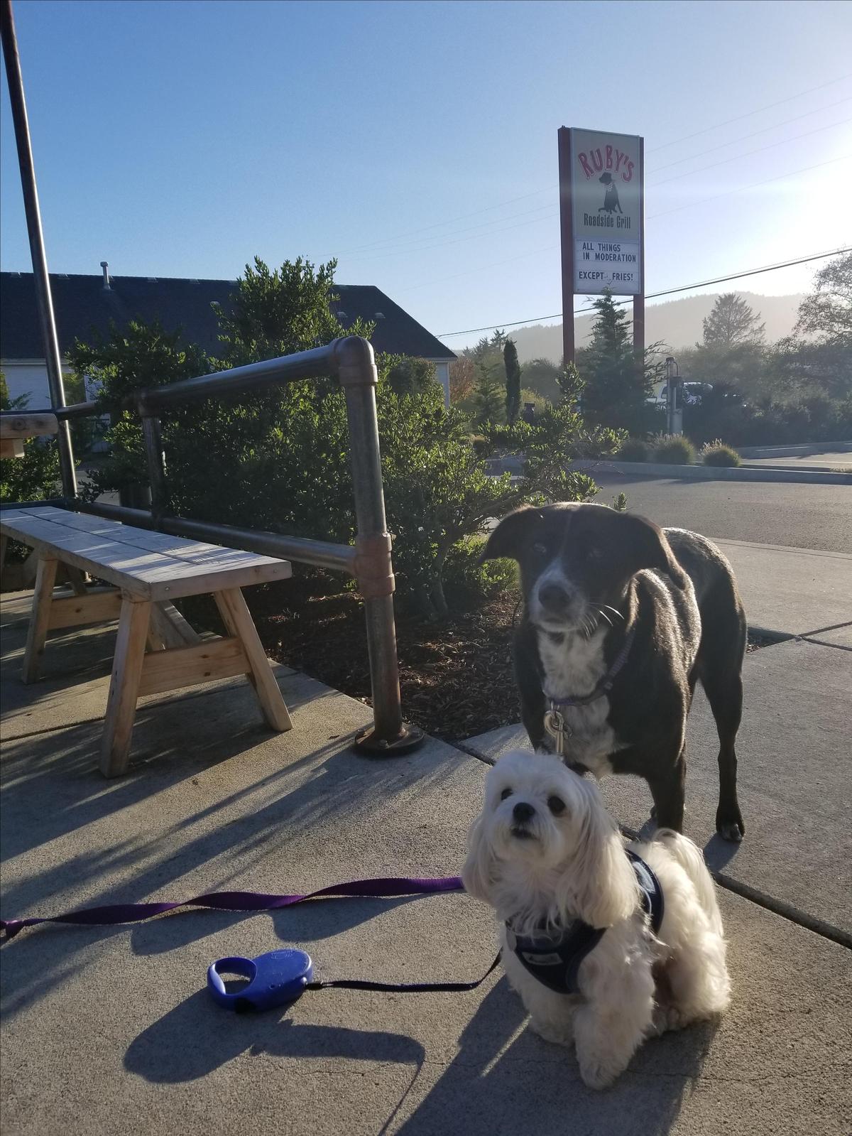 Ruby's Roadside Grill restaurant view 5