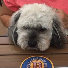 BoomerJacks restaurant view 4