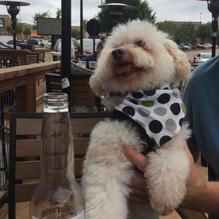 BoomerJacks restaurant view 3