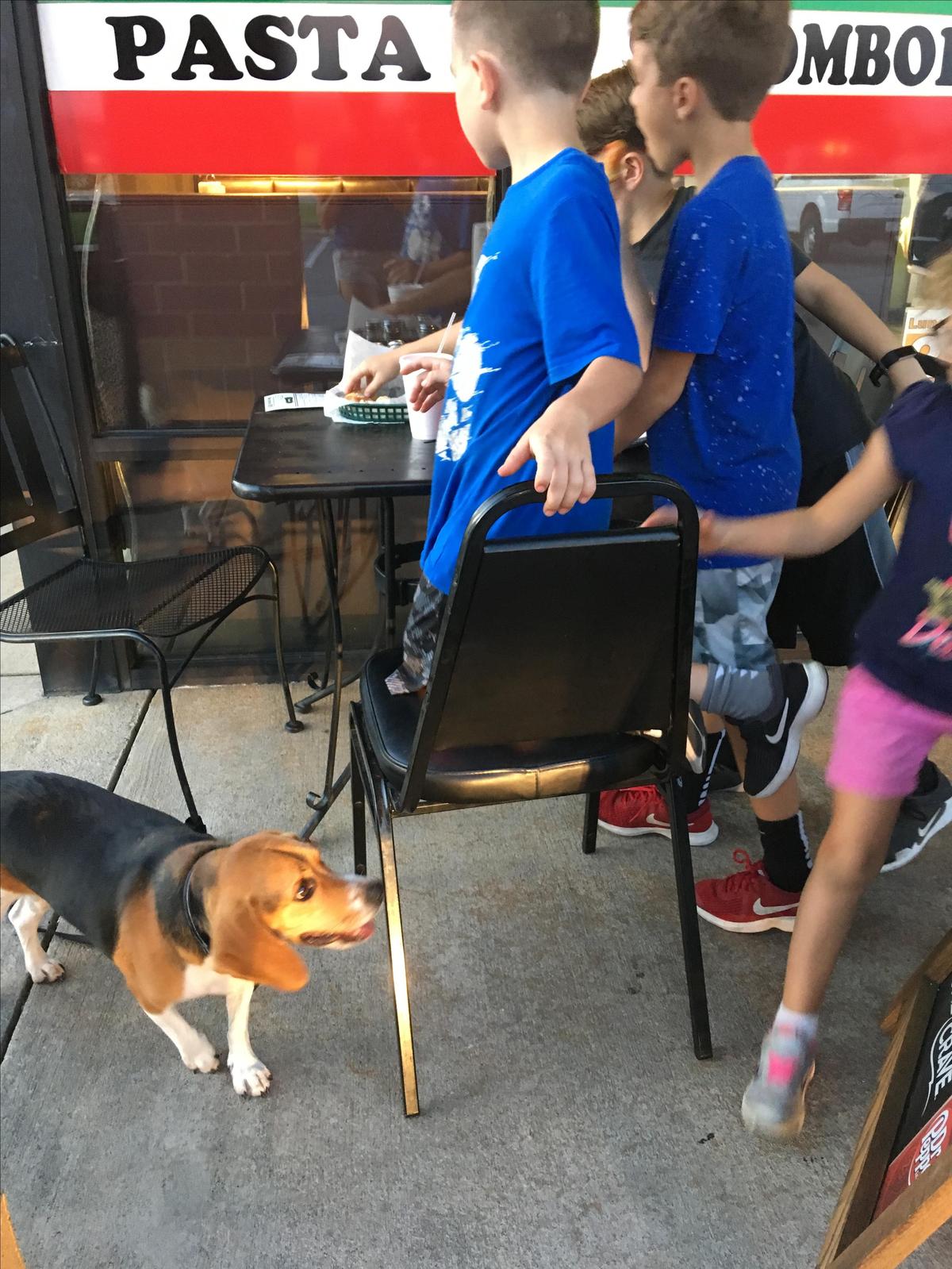 Davinos Queens Pizza restaurant view 1