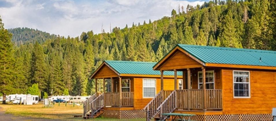 Dog Friendly Groveland, CA
