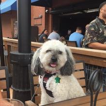 BoomerJacks restaurant view 2