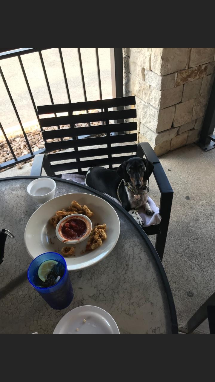 Wolfie's Restaurant & Sports Bar restaurant view 1
