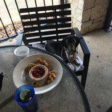 Wolfie's Restaurant & Sports Bar restaurant view 1