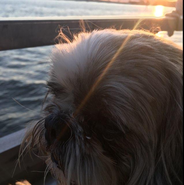 Adventure Harbor Tours