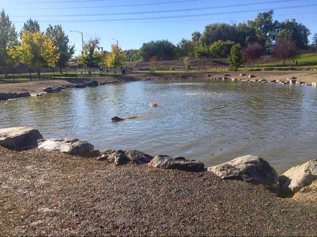 Nampa Dog Park
