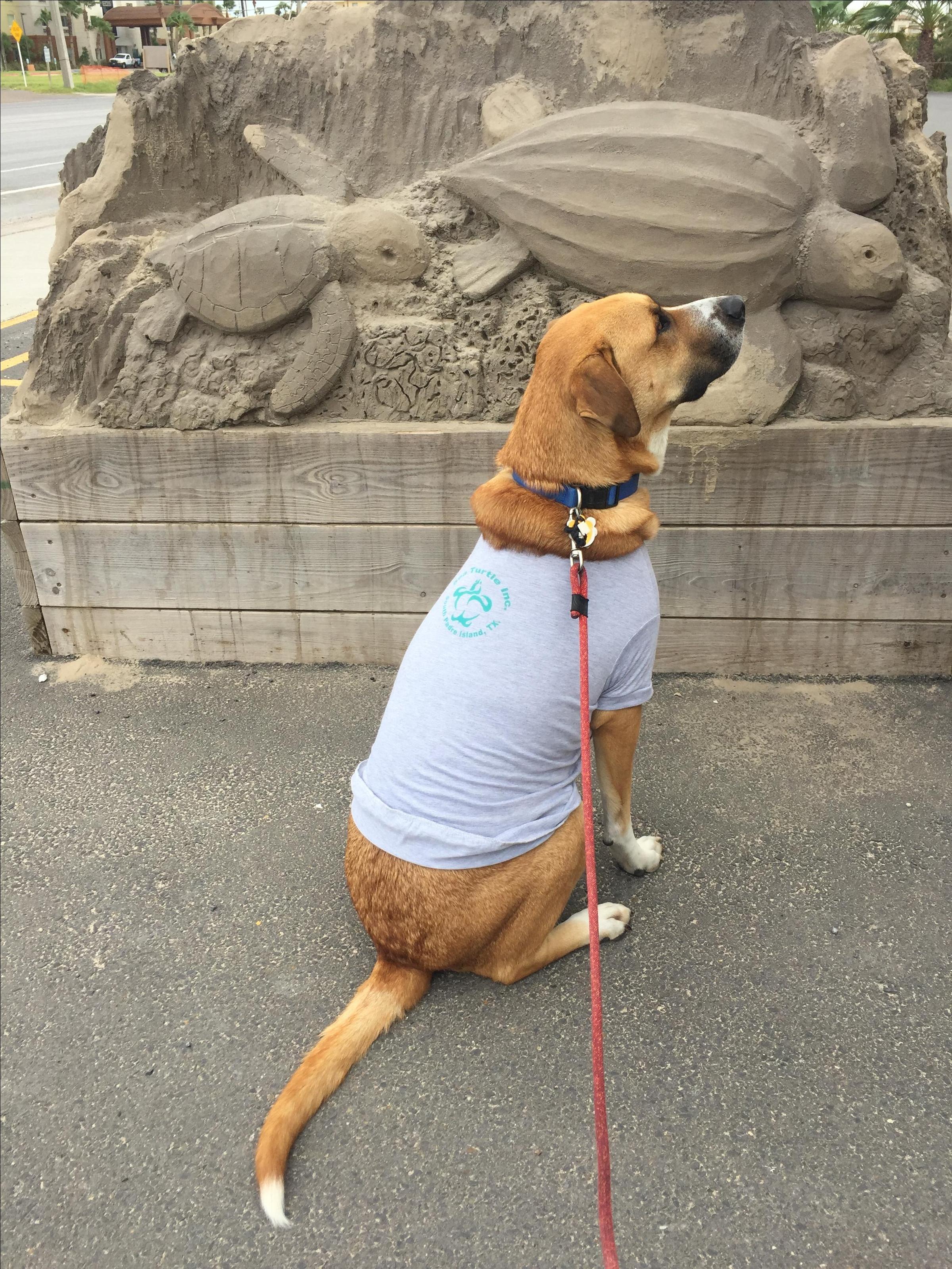 They Even Sell Dog Tees