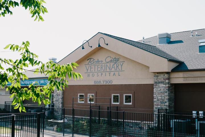 Pet Friendly River City Veterinary Hospital & Pet Resort