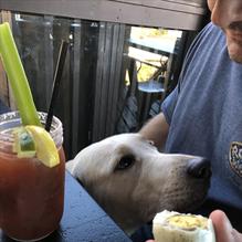 Haunted Hamburger restaurant view 10