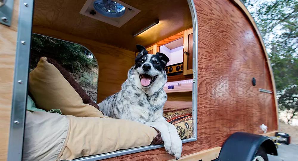 Pet Friendly Campgrounds In Virginia Beach Va Bringfido
