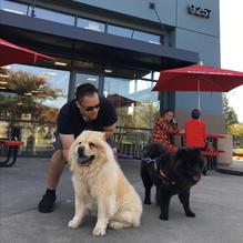 Five Guys restaurant view 1