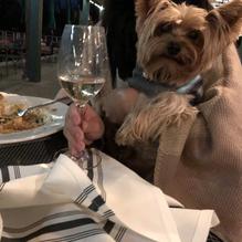 Boathouse at Forest Park restaurant view 7