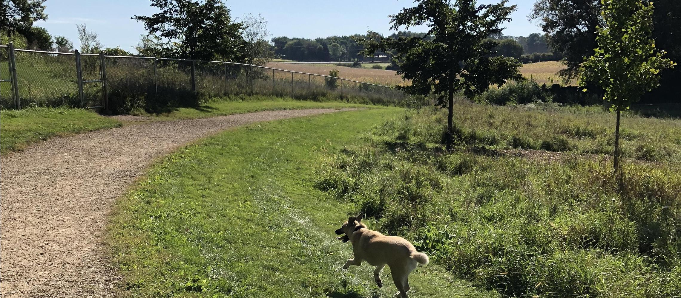 Dog Friendly Woodbury, MN