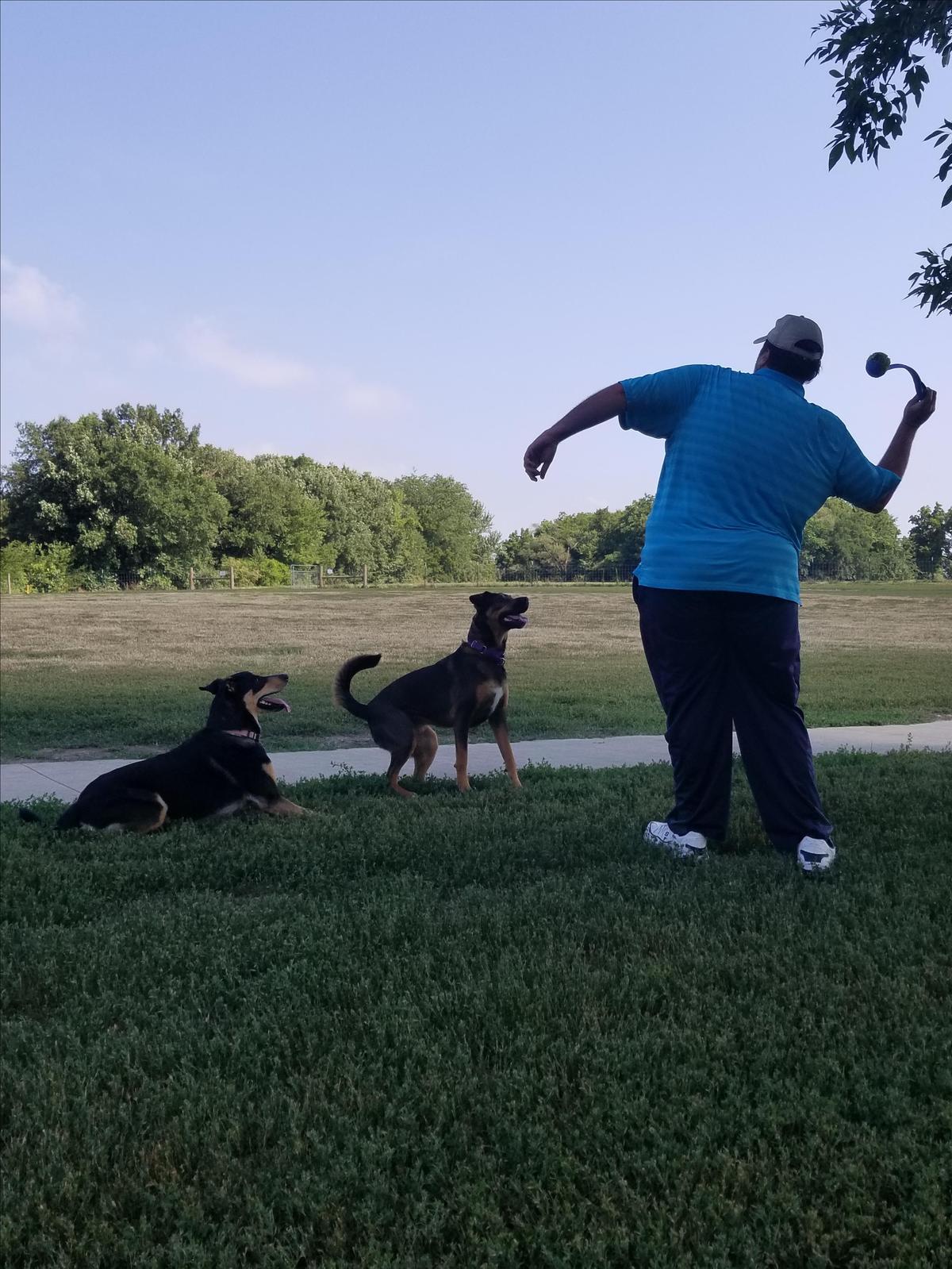 Dog Friendly Overland Park, KS BringFido