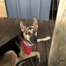 Castaways restaurant view 14