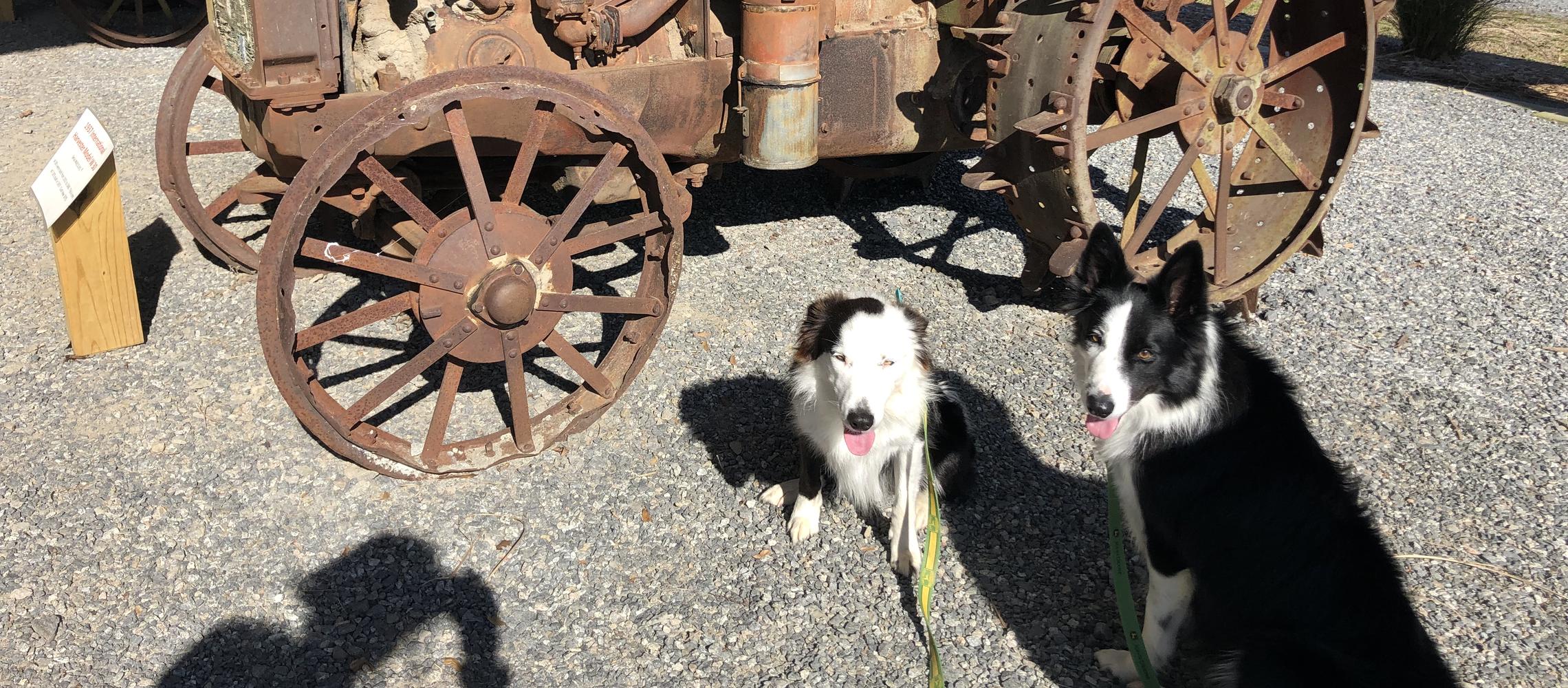 Dog Friendly Scott, AR
