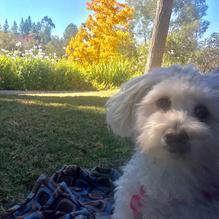 Mediterraneo restaurant view 1