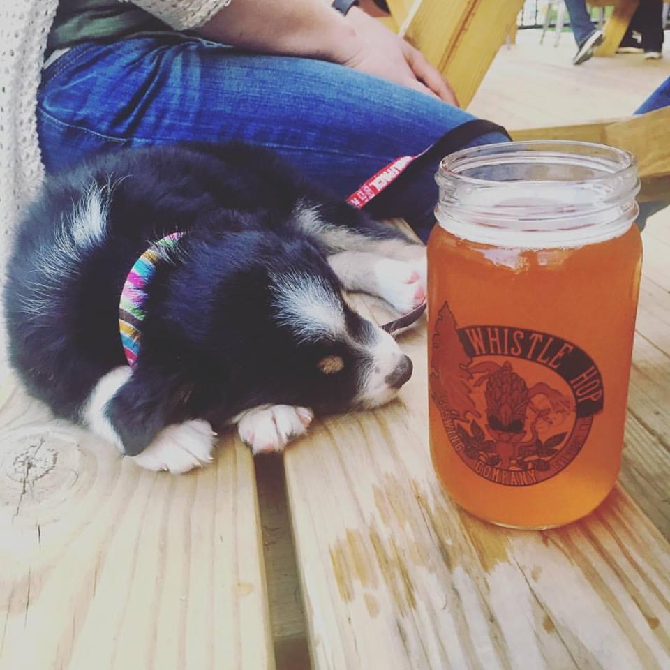 Whistle Hop Brewing restaurant view 4