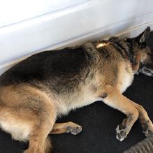 Bluewater Boathouse Seafood Grill restaurant view 1