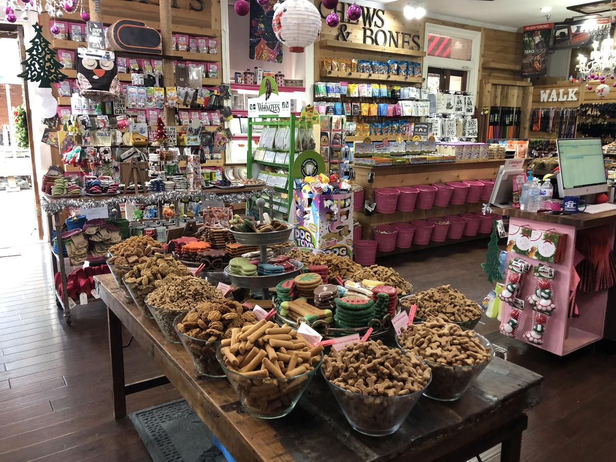 Google pet cheap stores near me