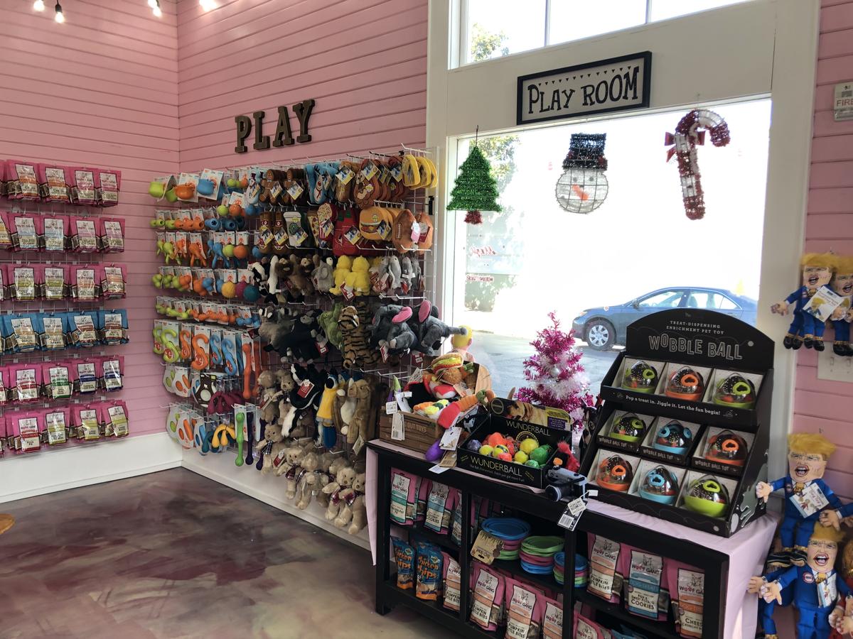 Google pet stores sales near me