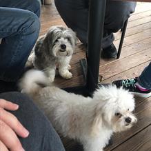 Castaways restaurant view 13