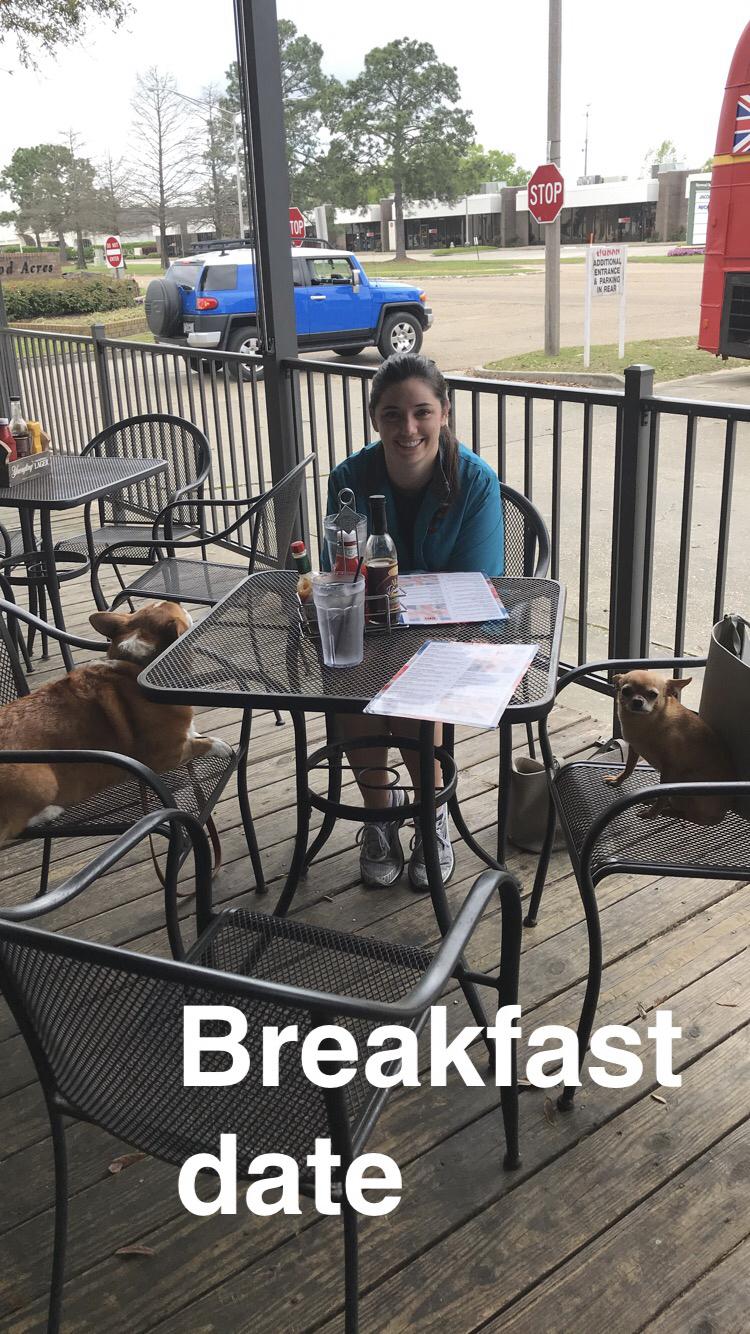 The Smiling Dog restaurant view 9