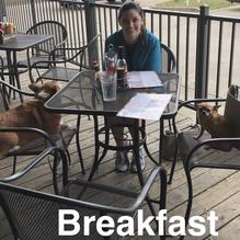 The Smiling Dog restaurant view 9