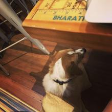 Art*Bar restaurant view 1