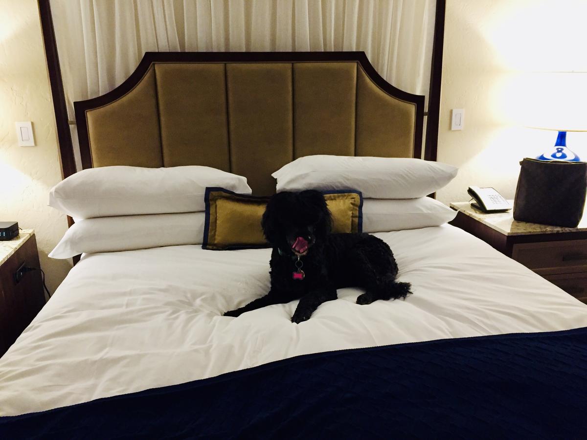 Queen LuLu on her King