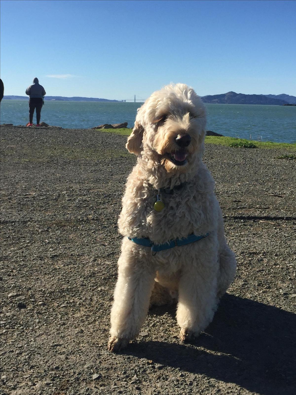 Windy Day At The Point