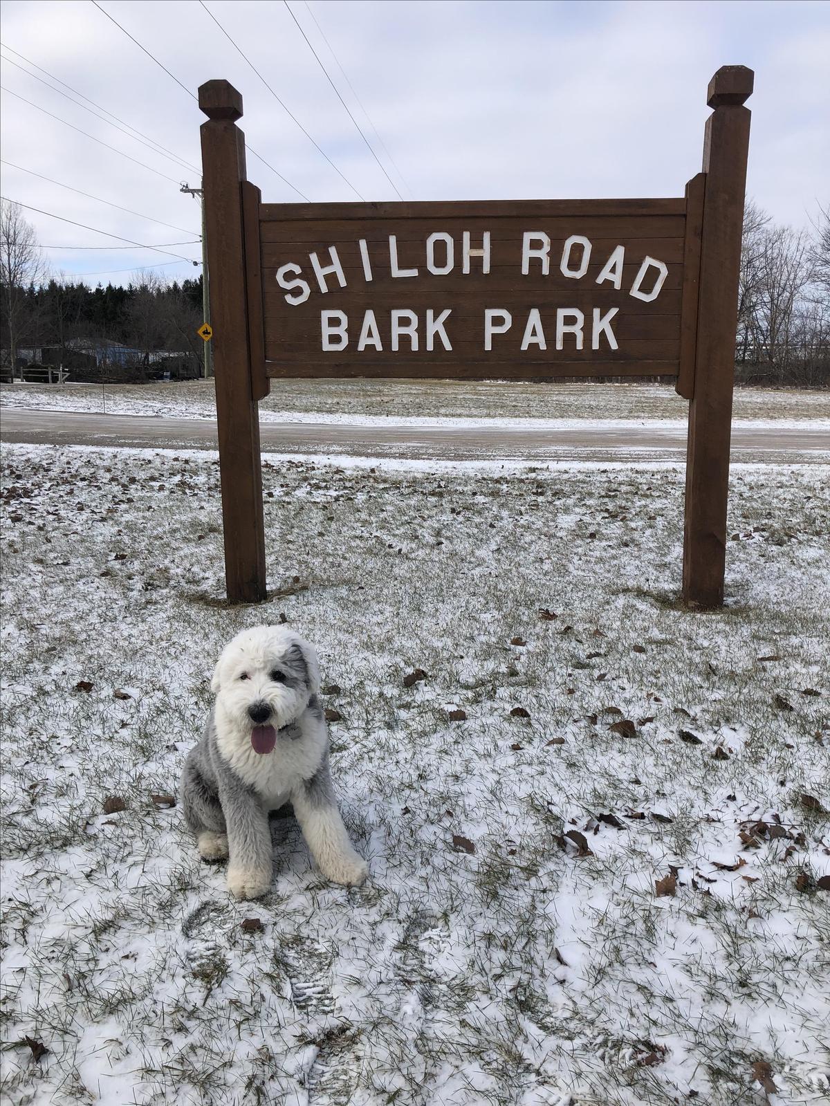 Dog Friendly Sturgeon Bay, WI BringFido