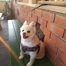 Farmer Boys restaurant view 5