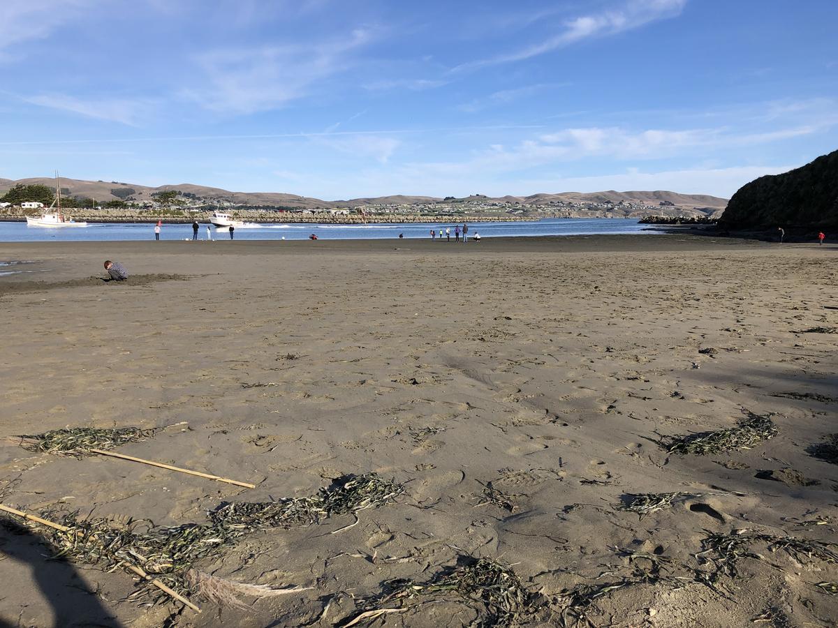 Campbell Cove At Bodega Bay