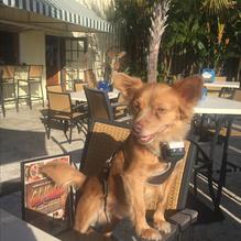 Get Hooked Grill restaurant view 3