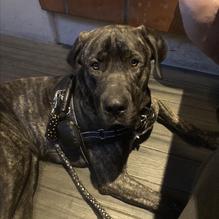 RED O restaurant view 1