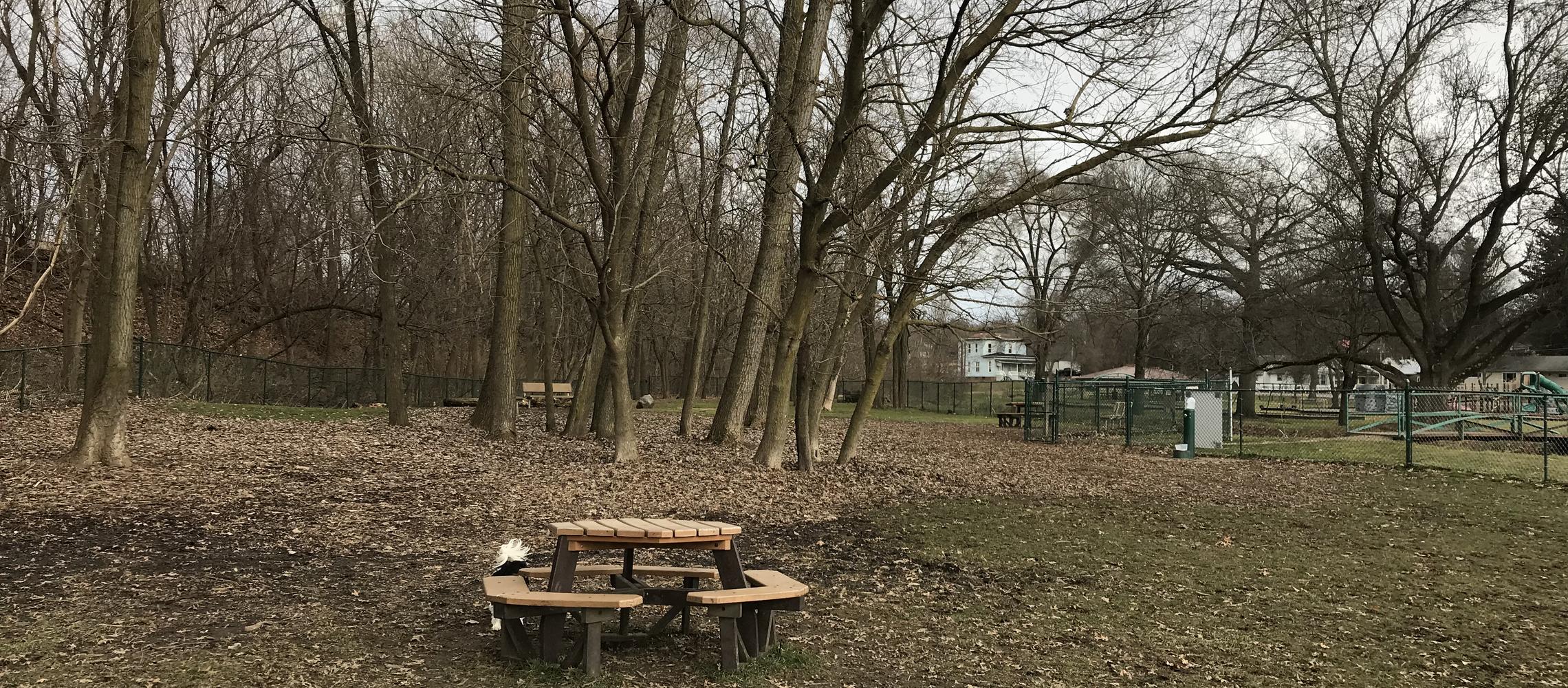 Dog Friendly Wooster, OH