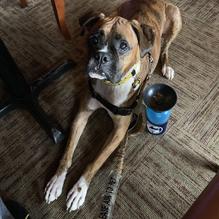 Casa Azul restaurant view 2