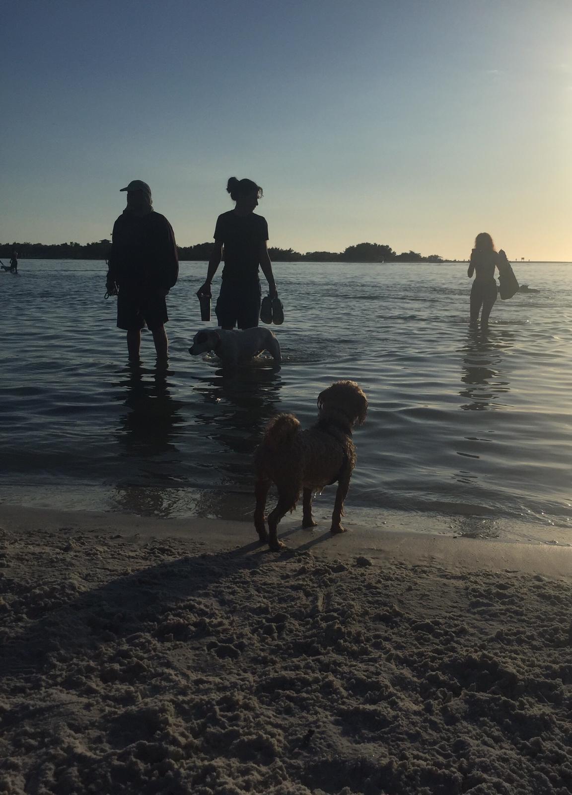 Shallow Beach