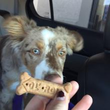 The Human Bean restaurant view 1