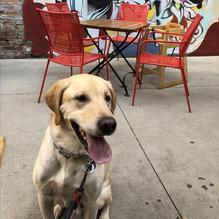 M.B. Haskett Delicatessen restaurant view 4