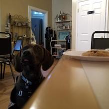 Concord Point Coffee restaurant view 1