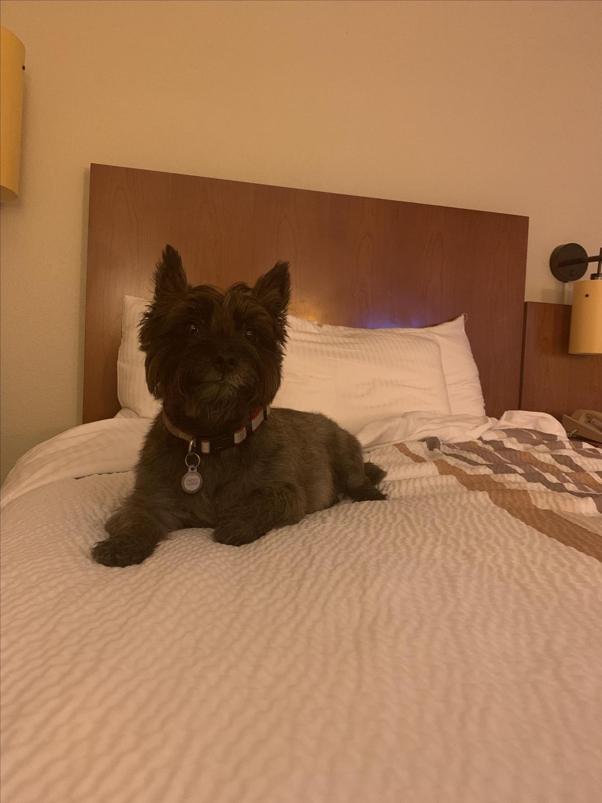 Nice Bed !!