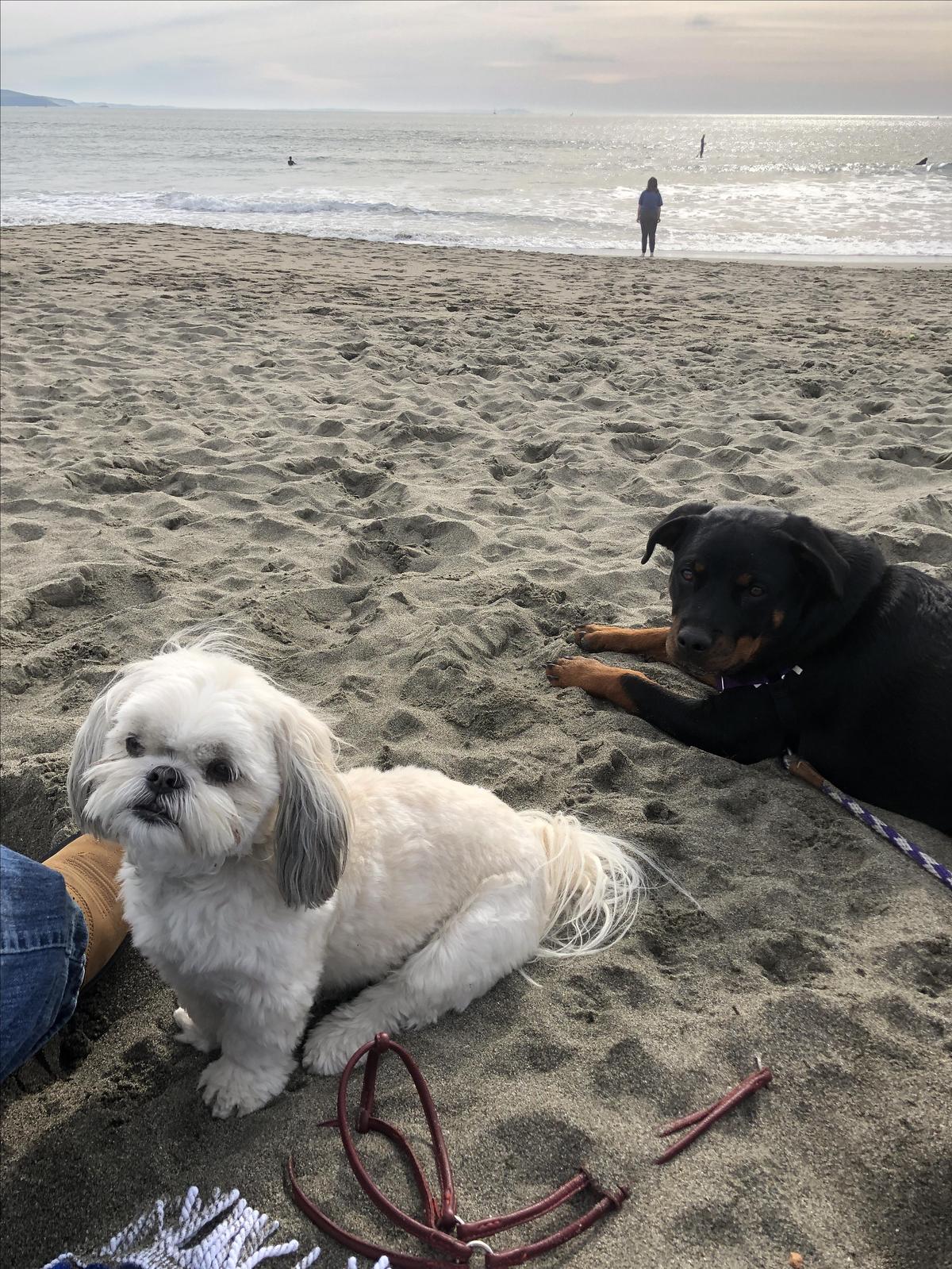 Great Day At Doran Beach