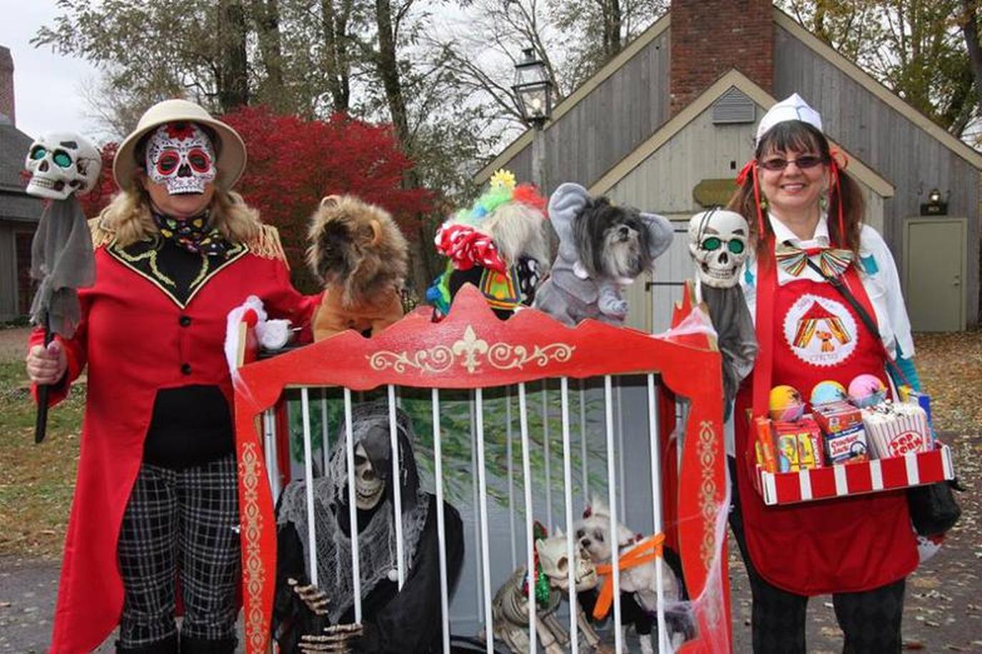The Dog Walk of the Dead is a dog event that promises a spooky good time for all!